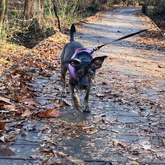 Meet your Poshers Beth & Sophie ๐ธ๐พ - Picture 2 of 8